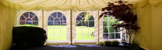 Marquee Interior with Vegetation