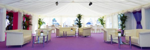 Open Marquee with Purple Flooring