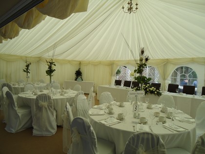 Pure White Chair Covers